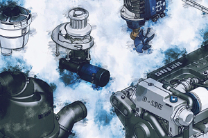 Vetus Maxwell Partnership